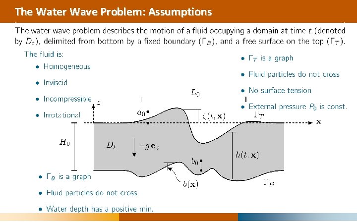 The Water Wave Problem: Assumptions 