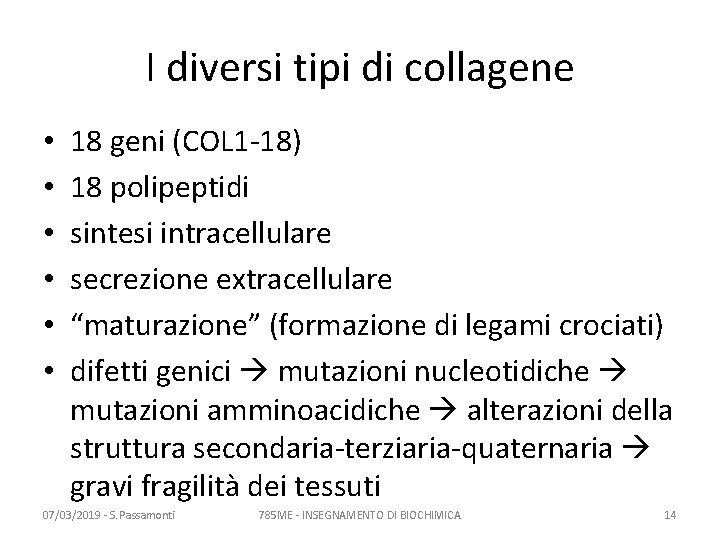 I diversi tipi di collagene • • • 18 geni (COL 1 -18) 18