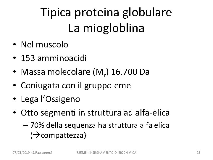 Tipica proteina globulare La miogloblina • • • Nel muscolo 153 amminoacidi Massa molecolare