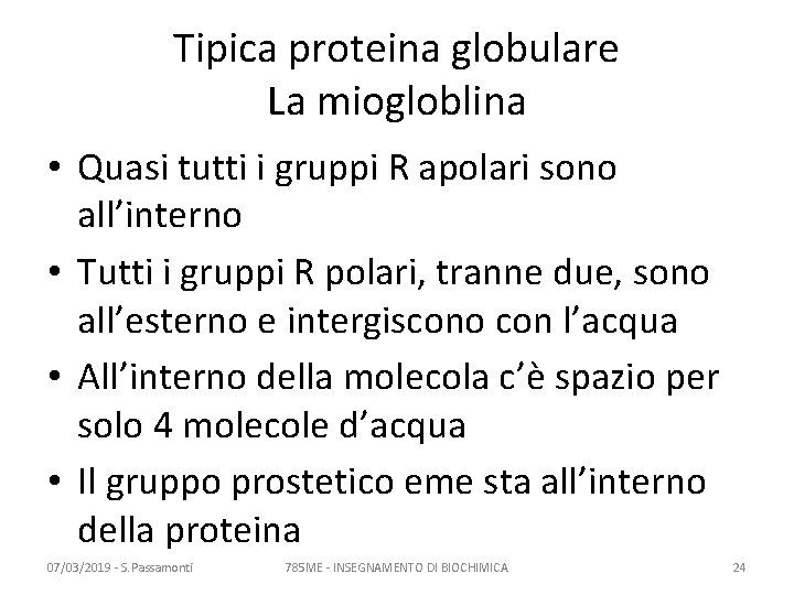 Tipica proteina globulare La miogloblina • Quasi tutti i gruppi R apolari sono all’interno