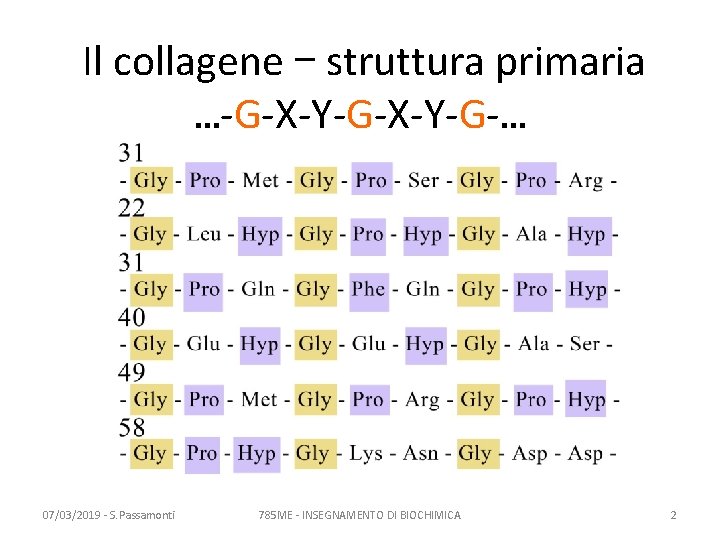 Il collagene – struttura primaria …-G-X-Y-G-… 07/03/2019 - S. Passamonti 785 ME - INSEGNAMENTO