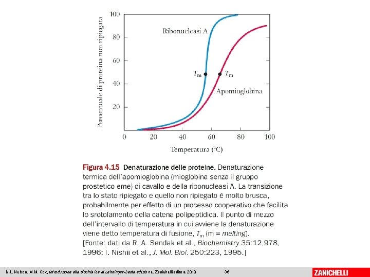 D. L. Nelson, M. M. Cox, Introduzione alla biochimica di Lehninger-Sesta edizio ne, Zanichelli