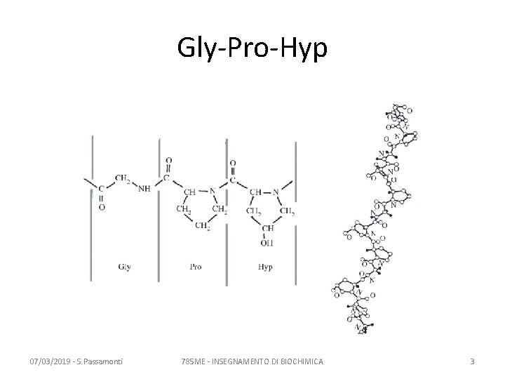 Gly-Pro-Hyp 07/03/2019 - S. Passamonti 785 ME - INSEGNAMENTO DI BIOCHIMICA 3 