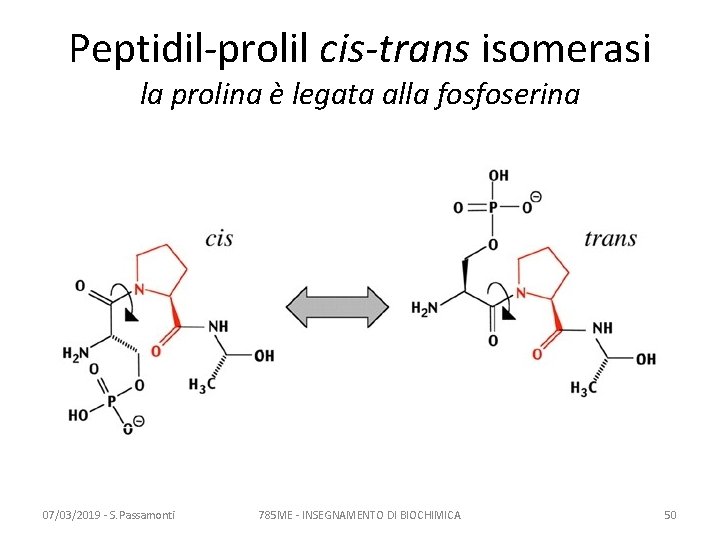 Peptidil-prolil cis-trans isomerasi la prolina è legata alla fosfoserina 07/03/2019 - S. Passamonti 785