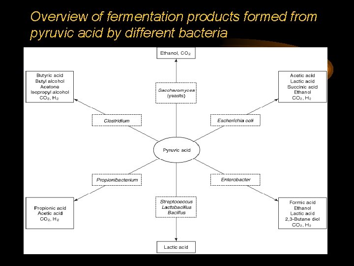 Overview of fermentation products formed from pyruvic acid by different bacteria 