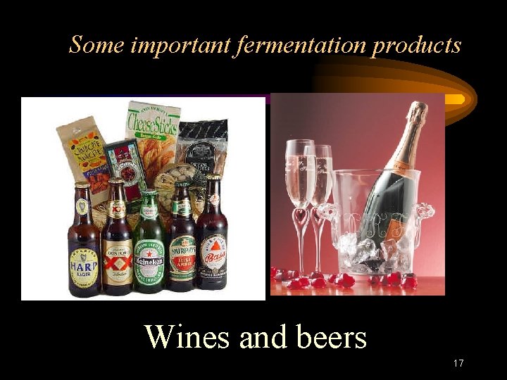 Some important fermentation products Wines and beers 17 