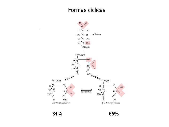 Formas cíclicas 34% 66% 