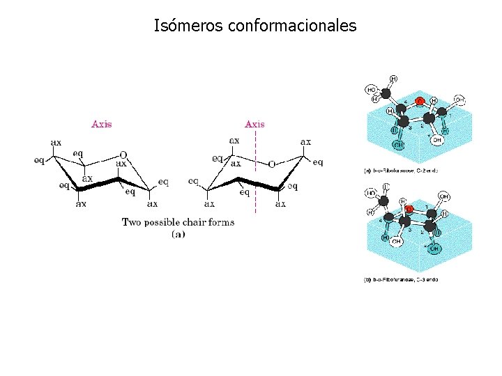 Isómeros conformacionales 