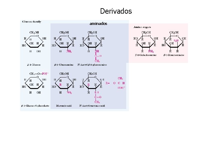 Derivados aminados oxidados 