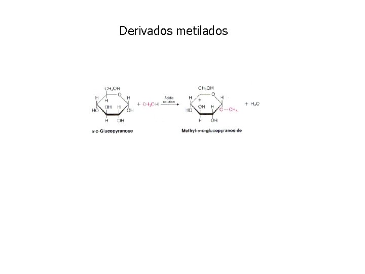 Derivados metilados 