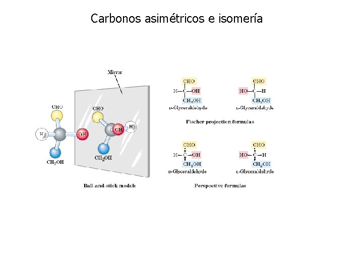 Carbonos asimétricos e isomería 