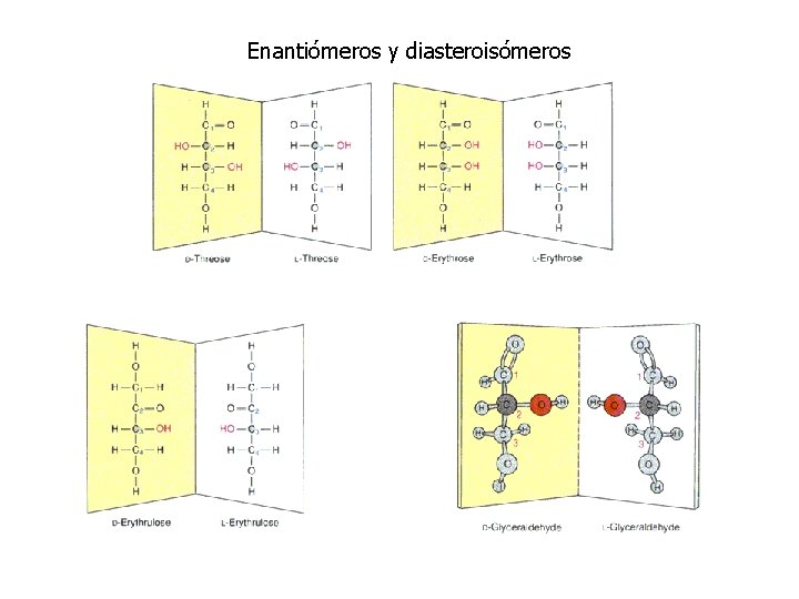 Enantiómeros y diasteroisómeros 