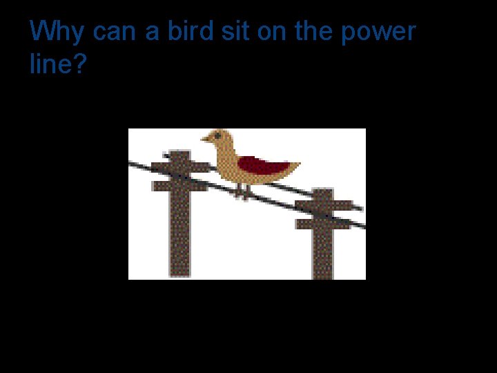 Why can a bird sit on the power line? 
