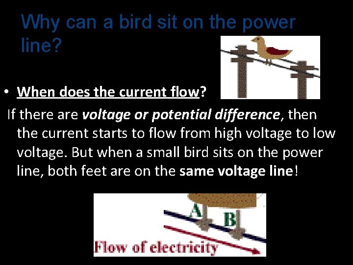 Why can a bird sit on the power line? • When does the current