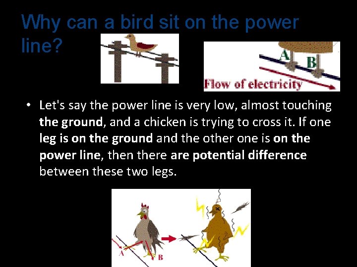 Why can a bird sit on the power line? • Let's say the power