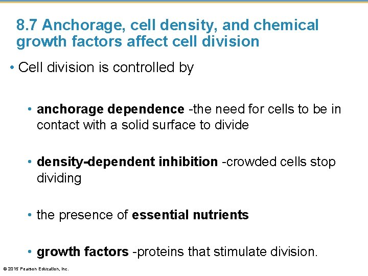 8. 7 Anchorage, cell density, and chemical growth factors affect cell division • Cell