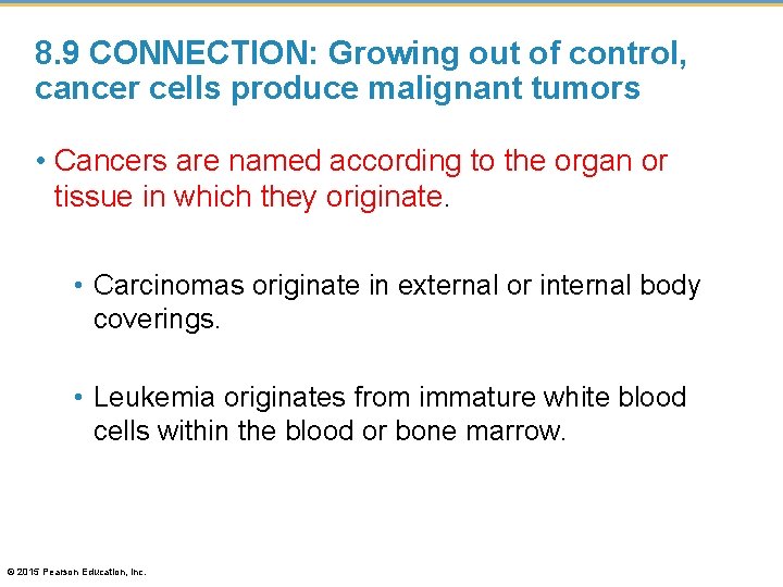 8. 9 CONNECTION: Growing out of control, cancer cells produce malignant tumors • Cancers