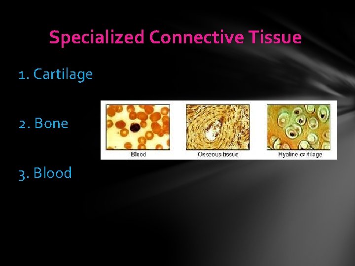 Specialized Connective Tissue 1. Cartilage 2. Bone 3. Blood Specialized Connective Tissue 1. Cartilage 2. Bone 3. Blood