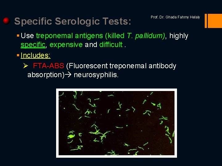 Specific Serologic Tests: Prof. Dr. Ghada Fahmy Helaly § Use treponemal antigens (killed T.