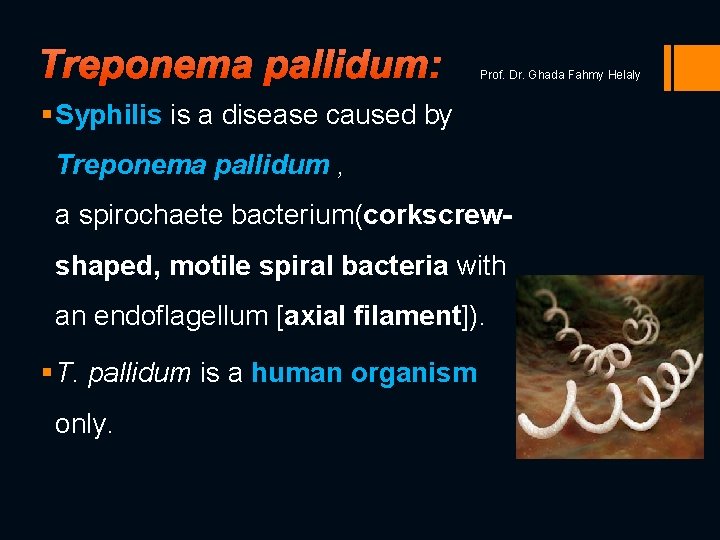 Treponema pallidum: Prof. Dr. Ghada Fahmy Helaly § Syphilis is a disease caused by