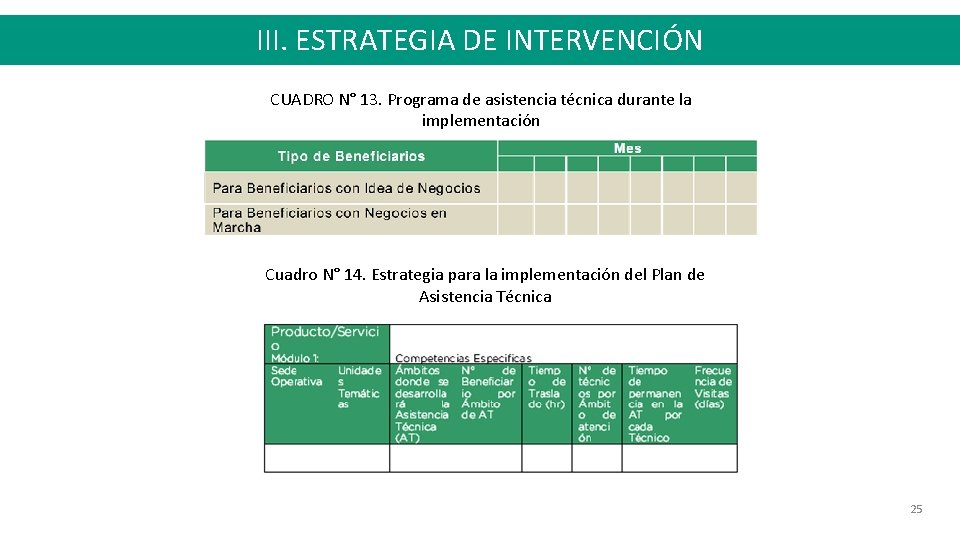 III. ESTRATEGIA DE INTERVENCIÓN CUADRO N° 13. Programa de asistencia técnica durante la implementación