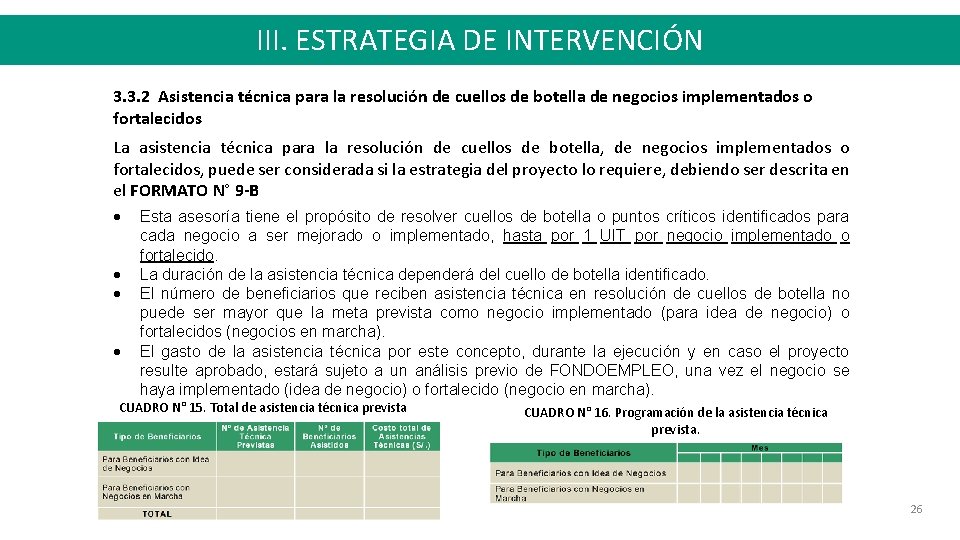 III. ESTRATEGIA DE INTERVENCIÓN 3. 3. 2 Asistencia técnica para la resolución de cuellos