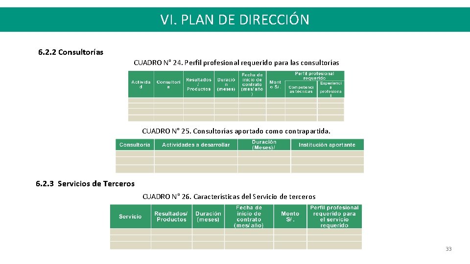 VI. PLAN DE DIRECCIÓN 6. 2. 2 Consultorías CUADRO N° 24. Perfil profesional requerido