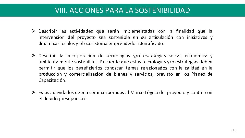 VIII. ACCIONES PARA LA SOSTENIBILIDAD Describir las actividades que serán implementadas con la finalidad