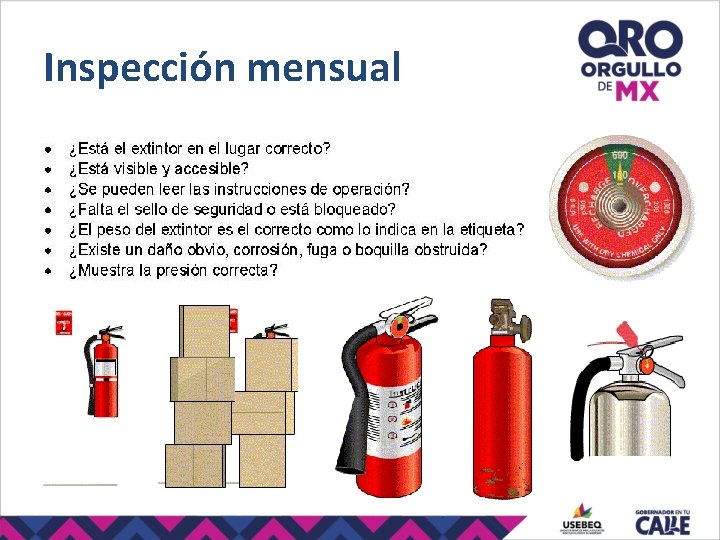 Inspección mensual 