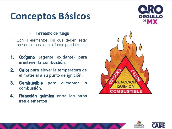 Conceptos Básicos • • Tetraedro del fuego Son 4 elementos los que deben estar