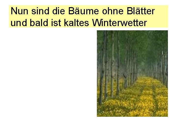 Nun sind die Bäume ohne Blätter und bald ist kaltes Winterwetter 