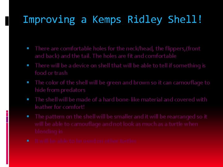 Improving a Kemps Ridley Shell! There are comfortable holes for the neck/head, the flippers,