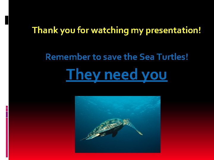 Thank you for watching my presentation! Remember to save the Sea Turtles! They need