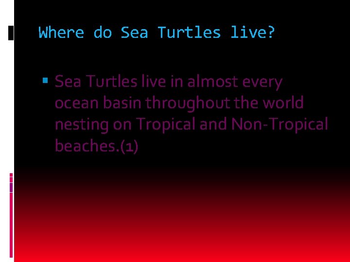 Where do Sea Turtles live? Sea Turtles live in almost every ocean basin throughout