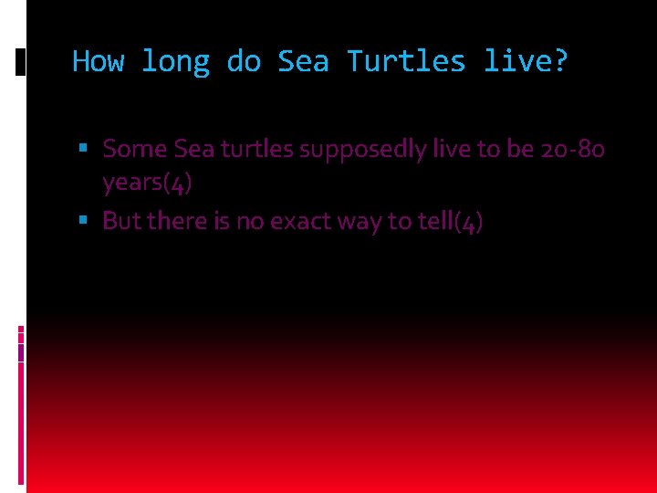 How long do Sea Turtles live? Some Sea turtles supposedly live to be 20