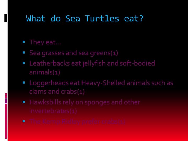 What do Sea Turtles eat? They eat… Sea grasses and sea greens(1) Leatherbacks eat