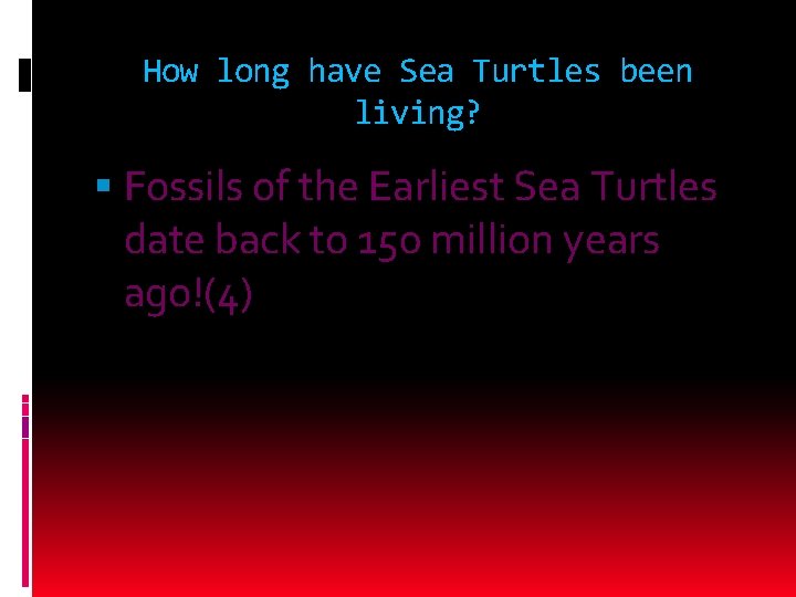 How long have Sea Turtles been living? Fossils of the Earliest Sea Turtles date