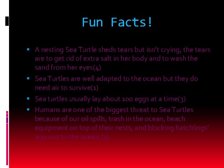 Fun Facts! A nesting Sea Turtle sheds tears but isn’t crying, the tears are