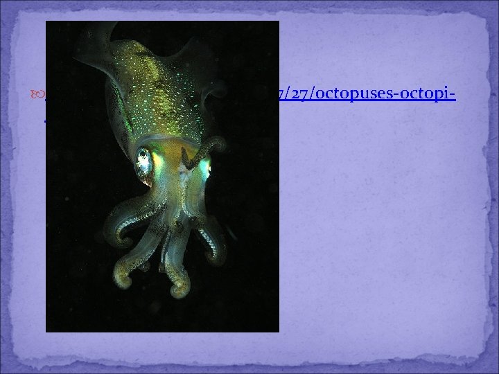  http: //boing. net/2010/07/27/octopuses-octopi- oct. html 