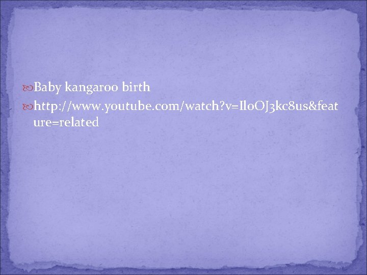  Baby kangaroo birth http: //www. youtube. com/watch? v=Ilo. OJ 3 kc 8 us&feat