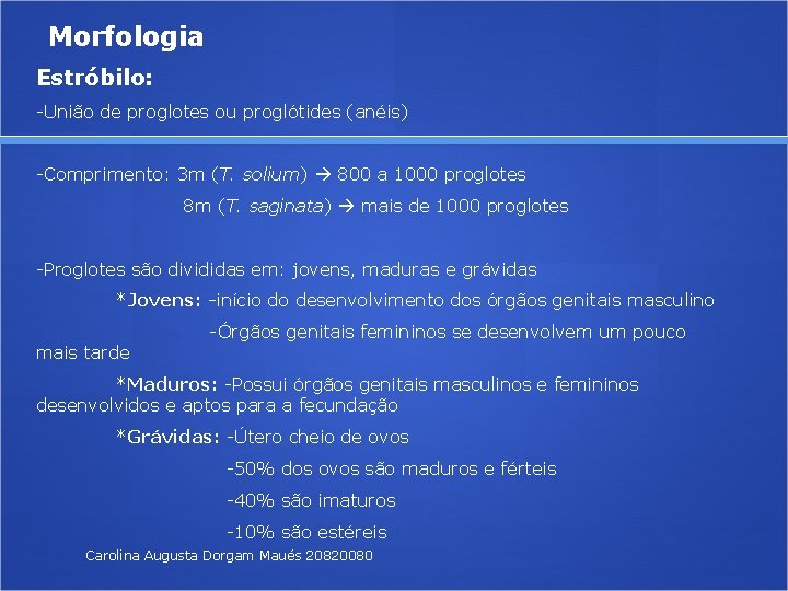 Morfologia Estróbilo: -União de proglotes ou proglótides (anéis) -Comprimento: 3 m (T. solium) 800