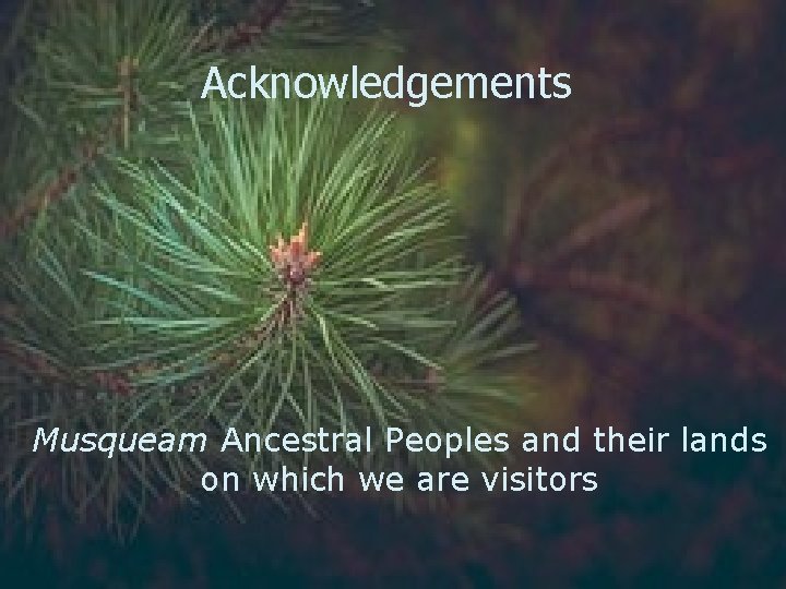Acknowledgements Musqueam Ancestral Peoples and their lands on which we are visitors 
