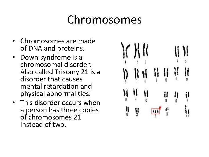 Chromosomes • Chromosomes are made of DNA and proteins. • Down syndrome is a
