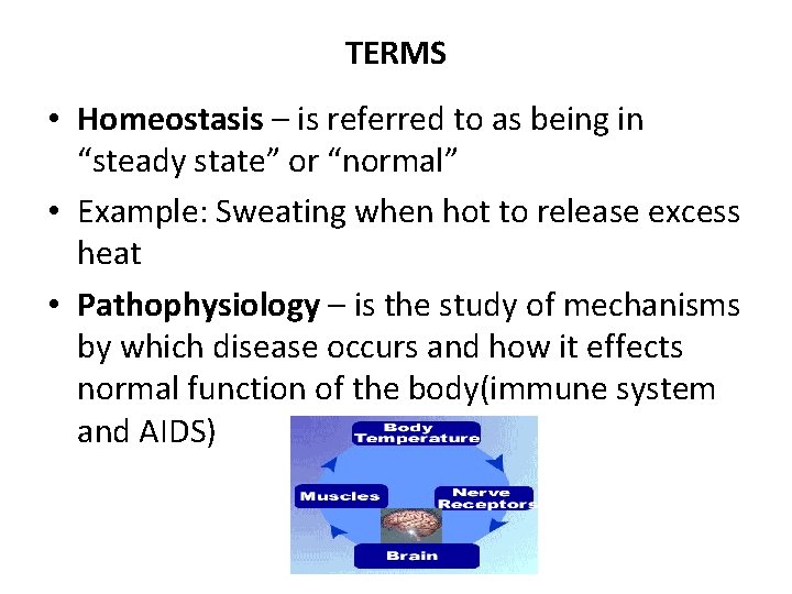 TERMS • Homeostasis – is referred to as being in “steady state” or “normal”