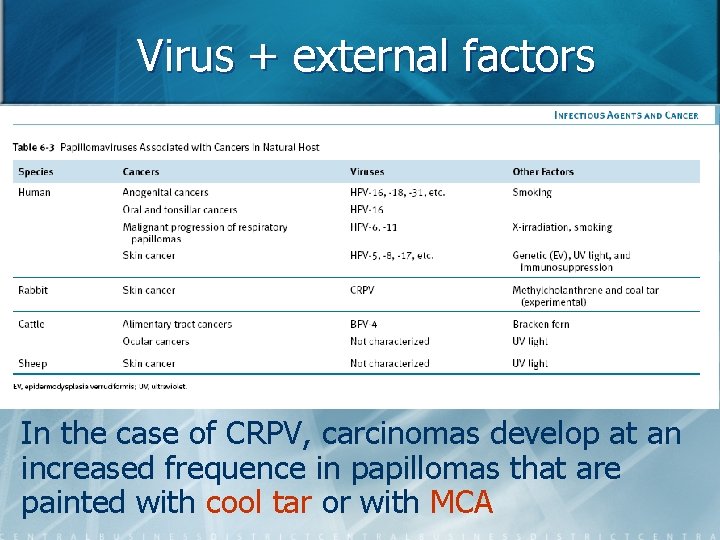 Virus + external factors In the case of CRPV, carcinomas develop at an increased