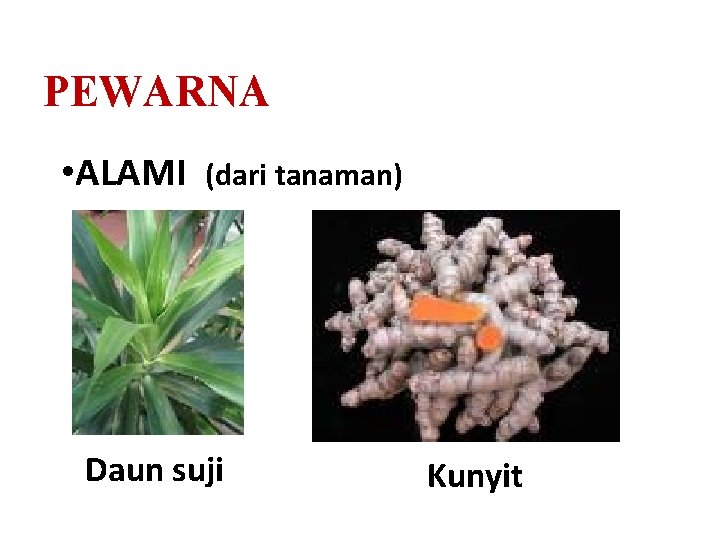 PEWARNA • ALAMI (dari tanaman) Daun suji Kunyit 