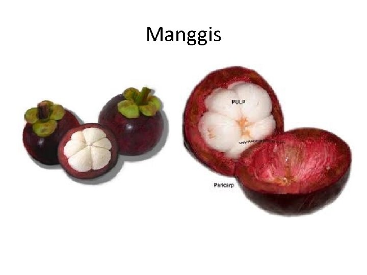 Manggis 