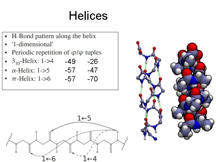 Helices -49 -57 -26 -47 -70 