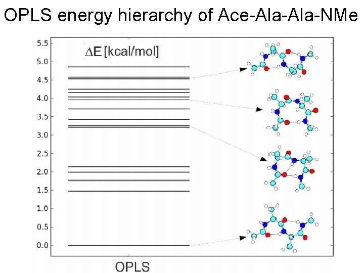 OPLS energy hierarchy of Ace-Ala-NMe 