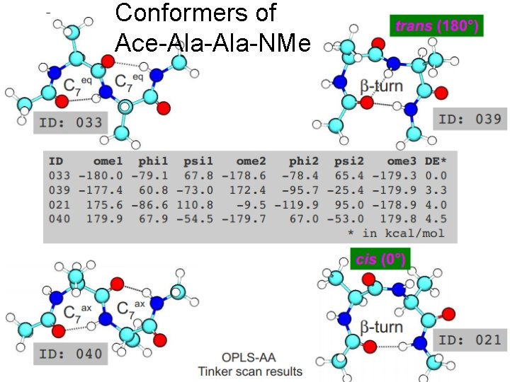 Conformers of Ace-Ala-NMe 
